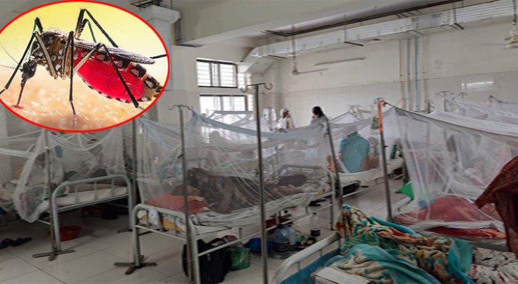 ডেঙ্গুতে আরো ৪ জনের মৃত্যু, হাসপাতালে ৩১৯